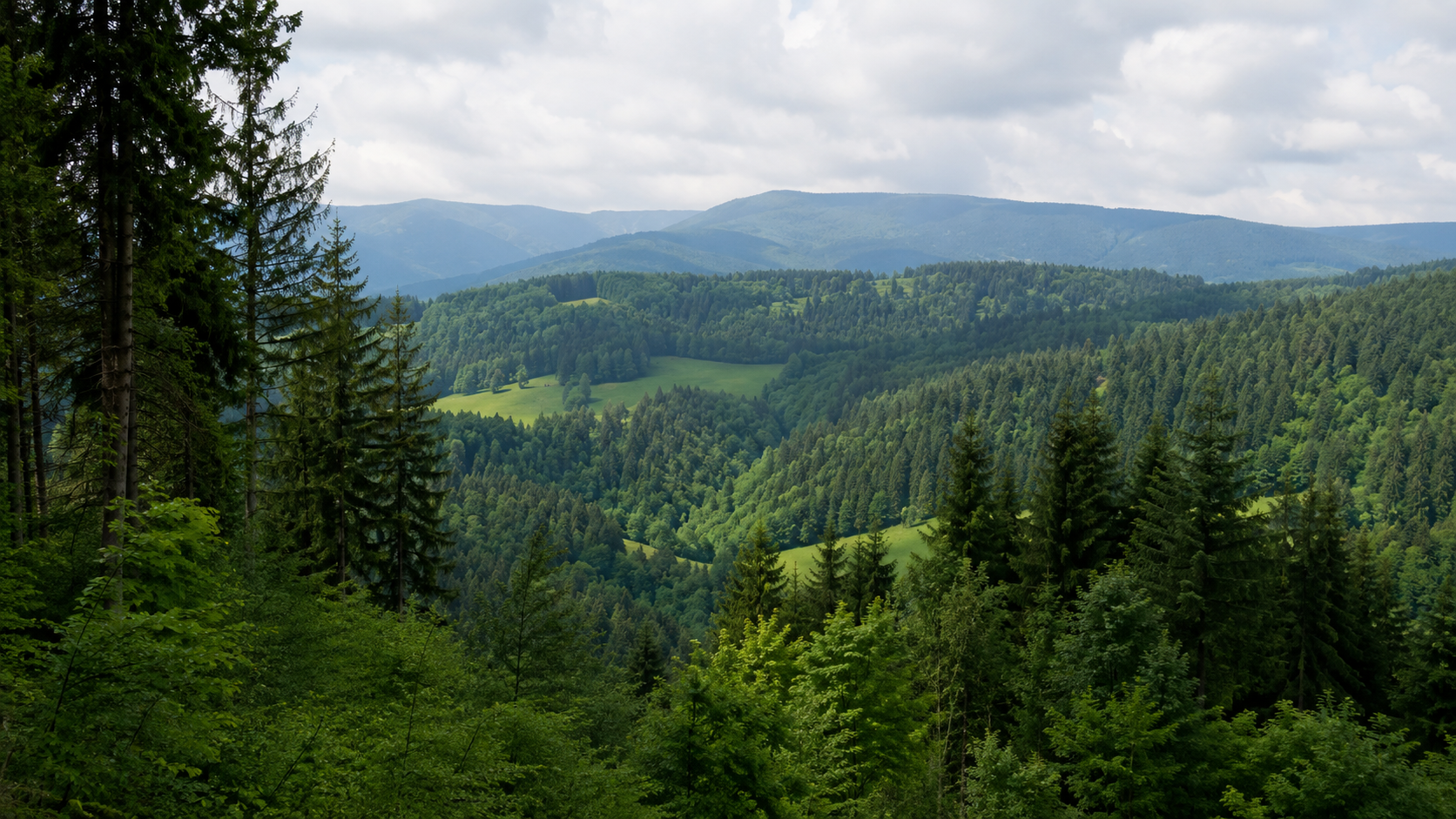 Lesná krajina na Slovensku